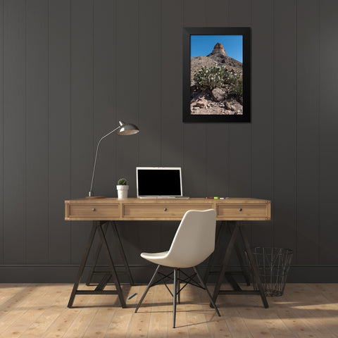 Prickly Pear Cactus and scenery in Big Bend National Park, TX Black Modern Wood Framed Art Print by Highmith, Carol