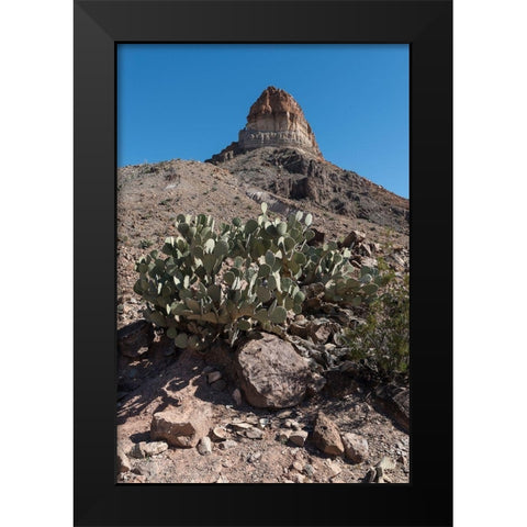 Prickly Pear Cactus and scenery in Big Bend National Park, TX Black Modern Wood Framed Art Print by Highmith, Carol