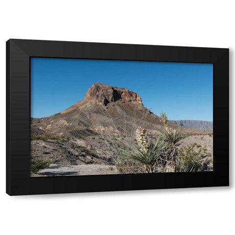 Scene from Big Bend National Park in Brewster County, TX Black Modern Wood Framed Art Print with Double Matting by Highmith, Carol