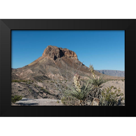 Scene from Big Bend National Park in Brewster County, TX Black Modern Wood Framed Art Print by Highmith, Carol