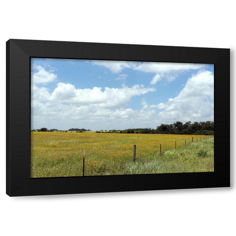 A field of wildflowers near Chappel Hill in Austin County, TX, 2014 Black Modern Wood Framed Art Print with Double Matting by Highmith, Carol