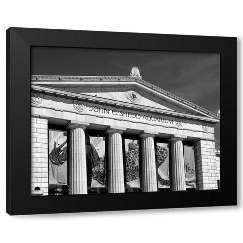 Shedd Aquarium Chicago Illinois Black Modern Wood Framed Art Print with Double Matting by Highsmith, Carol