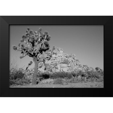 Joshua Tree National Park California Black Modern Wood Framed Art Print by Highsmith, Carol