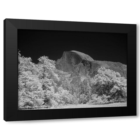 Half Dome in Yosemite National Park California Black Modern Wood Framed Art Print by Highsmith, Carol