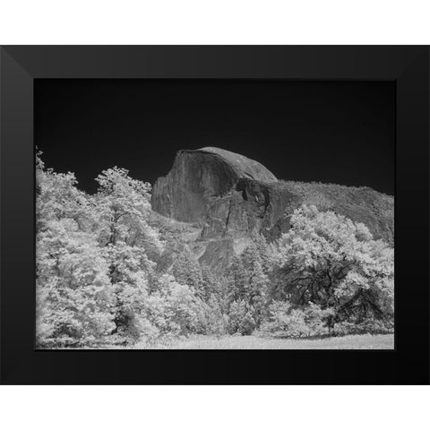 Half Dome in Yosemite National Park California Black Modern Wood Framed Art Print by Highsmith, Carol
