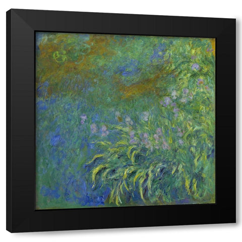Irises Black Modern Wood Framed Art Print with Double Matting by Monet, Claude