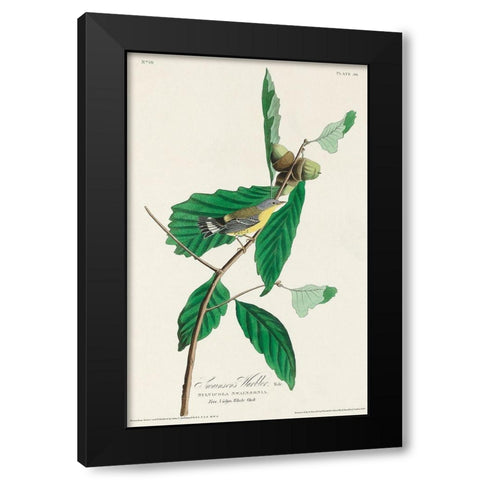 Black and Yellow Warbler Black Modern Wood Framed Art Print with Double Matting by Audubon, John James