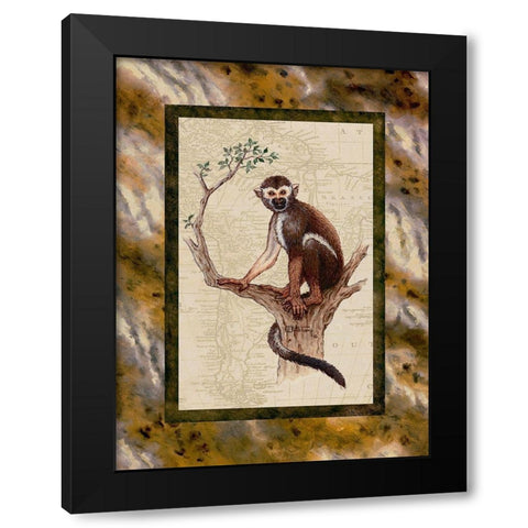Squirrel Monkey Black Modern Wood Framed Art Print with Double Matting by Kruskamp, Janet