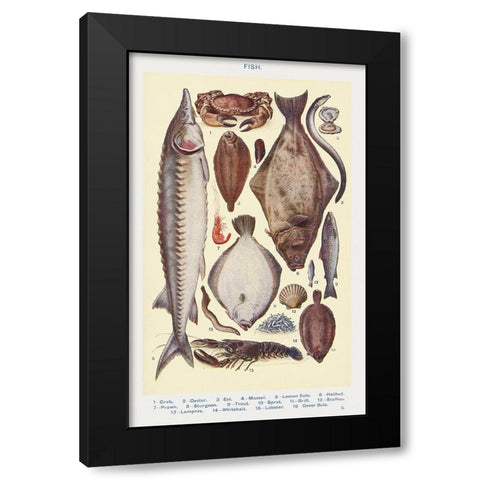 Fish II Black Modern Wood Framed Art Print by Mrs. Beeton''s Book of Household Management