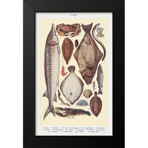 Fish II Black Modern Wood Framed Art Print by Mrs. Beeton''s Book of Household Management