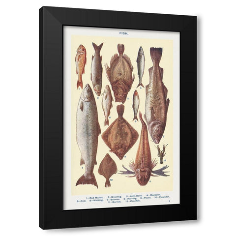 Fish I Black Modern Wood Framed Art Print with Double Matting by Mrs. Beeton''s Book of Household Management