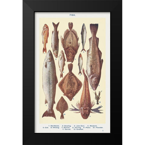 Fish I Black Modern Wood Framed Art Print by Mrs. Beeton''s Book of Household Management