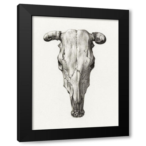 Skull of a cow Black Modern Wood Framed Art Print with Double Matting by Bernard, Jean