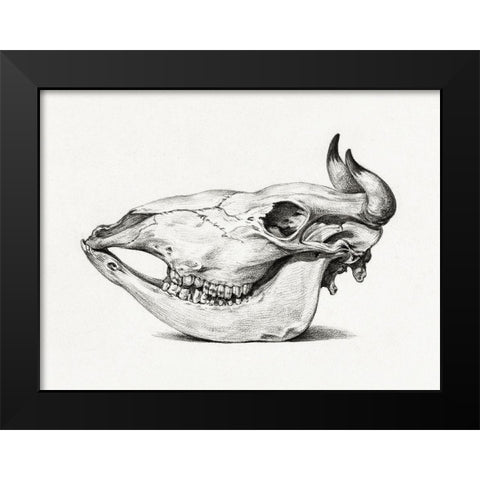Skull of a cow (Side) Black Modern Wood Framed Art Print by Bernard, Jean