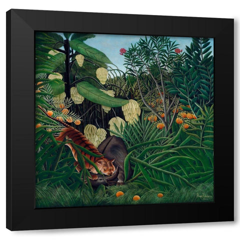 Fight between a Tiger and a Buffalo 1908 Black Modern Wood Framed Art Print by Rousseau, Henri