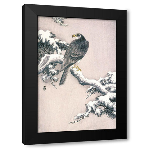 Goshawk on Snow-covered Pine Bough Black Modern Wood Framed Art Print with Double Matting by Koson, Ohara