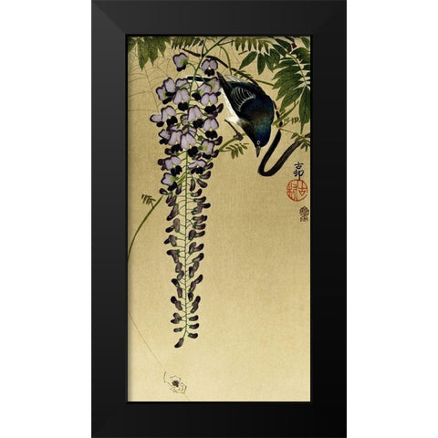 Flycatcher at wisteria Black Modern Wood Framed Art Print by Koson, Ohara