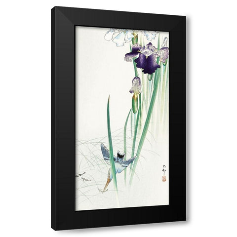 Kingfisher and irises Black Modern Wood Framed Art Print with Double Matting by Koson, Ohara