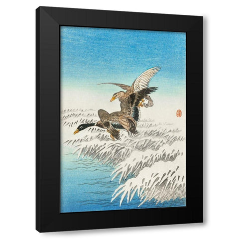 Pair of ducks flying over snowy reed collar Black Modern Wood Framed Art Print by Koson, Ohara