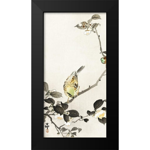 Bunting on blossom branch Black Modern Wood Framed Art Print by Koson, Ohara