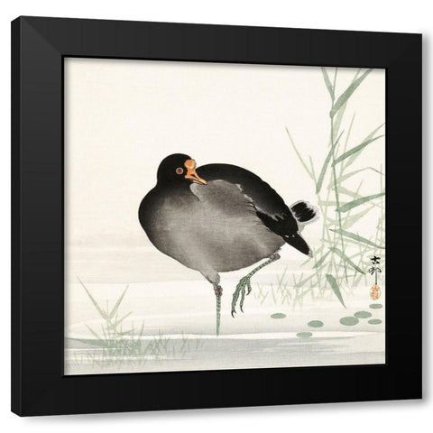 Moorhen Black Modern Wood Framed Art Print by Koson, Ohara