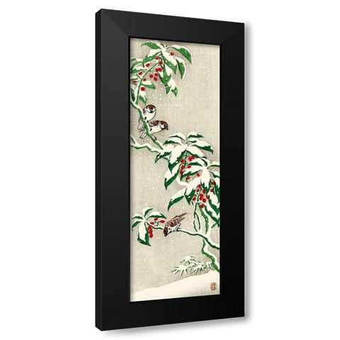 Sparrows on snowy berry bush Black Modern Wood Framed Art Print by Koson, Ohara