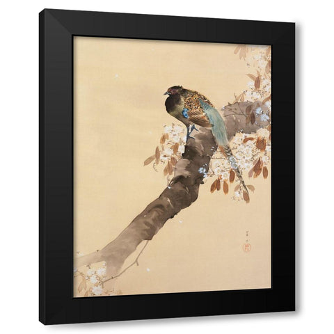 Pheasant on cherry blossom branch Black Modern Wood Framed Art Print by Koson, Ohara