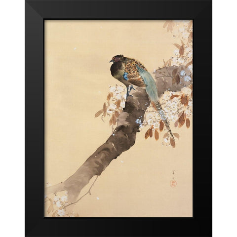 Pheasant on cherry blossom branch Black Modern Wood Framed Art Print by Koson, Ohara