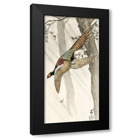 Flying pheasant Black Modern Wood Framed Art Print by Koson, Ohara