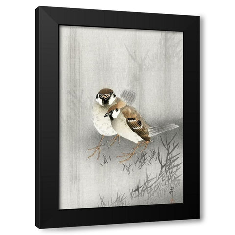 Two ring sparrows in the rain Black Modern Wood Framed Art Print with Double Matting by Koson, Ohara