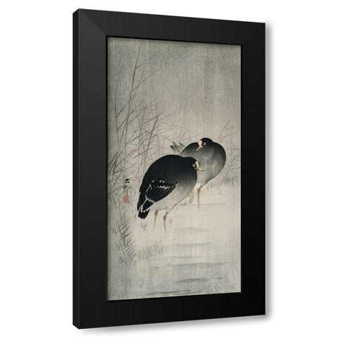 Moorhills between reeds Black Modern Wood Framed Art Print by Koson, Ohara