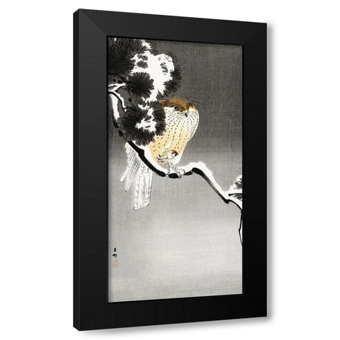 Hawk with sparrow Black Modern Wood Framed Art Print by Koson, Ohara