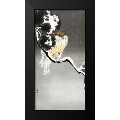 Hawk with sparrow Black Modern Wood Framed Art Print by Koson, Ohara