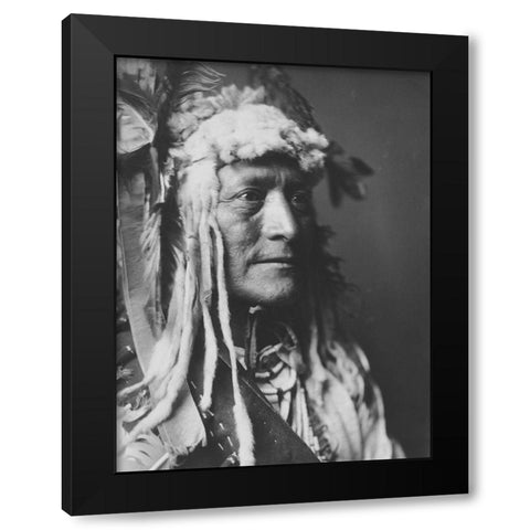 White Duck Black Modern Wood Framed Art Print with Double Matting by Curtis, Edward