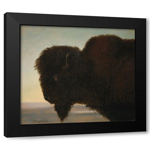 Buffalo Head Black Modern Wood Framed Art Print with Double Matting by Bierstadt, Albert