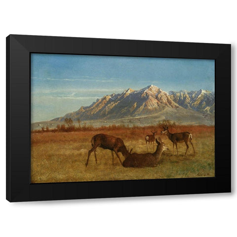 Deer in Mountain Home Black Modern Wood Framed Art Print with Double Matting by Bierstadt, Albert