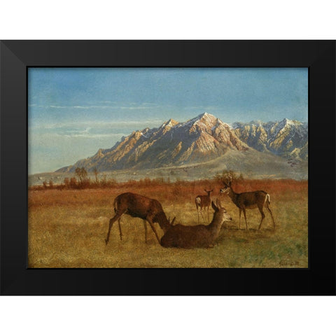 Deer in Mountain Home Black Modern Wood Framed Art Print by Bierstadt, Albert