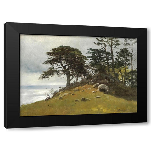Cypress Point, Monterey Black Modern Wood Framed Art Print with Double Matting by Bierstadt, Albert