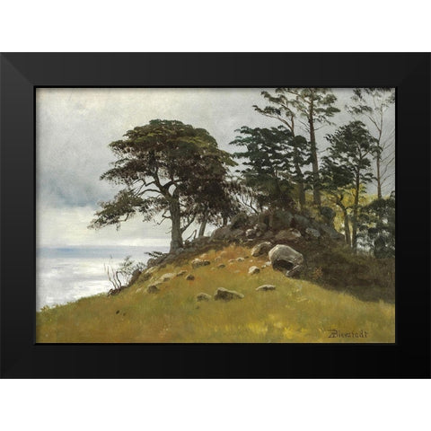 Cypress Point, Monterey Black Modern Wood Framed Art Print by Bierstadt, Albert