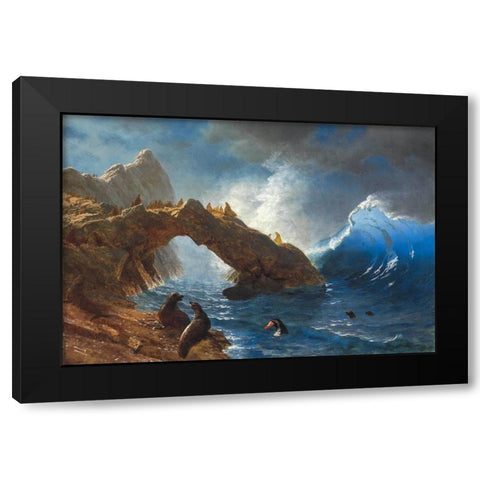 Seals on the Rocks Black Modern Wood Framed Art Print with Double Matting by Bierstadt, Albert
