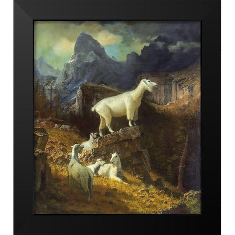 Rocky Mountain Goats Black Modern Wood Framed Art Print by Bierstadt, Albert