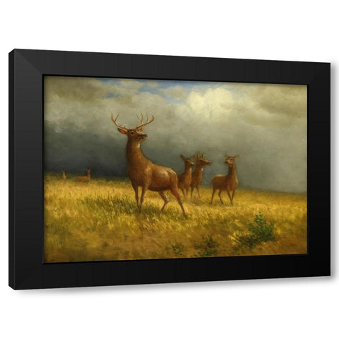 Three Deer and a Stag Black Modern Wood Framed Art Print by Bierstadt, Albert