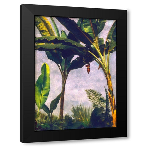 Banana Trees Black Modern Wood Framed Art Print by Bierstadt, Albert