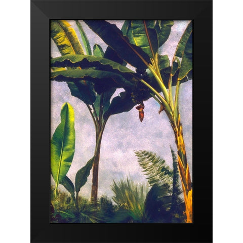 Banana Trees Black Modern Wood Framed Art Print by Bierstadt, Albert