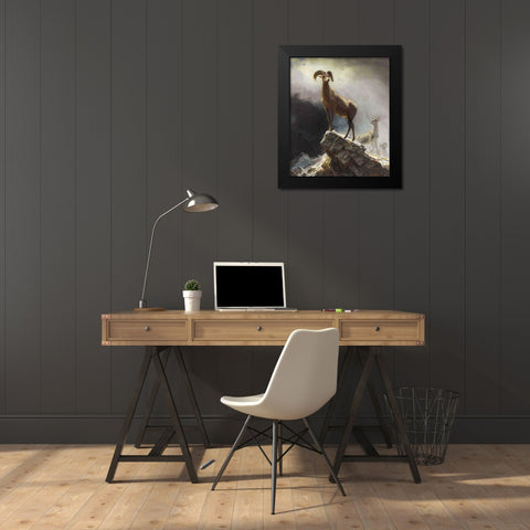 Rocky Mountain Sheep or Big Horn, Ovis, Montana Black Modern Wood Framed Art Print by Bierstadt, Albert