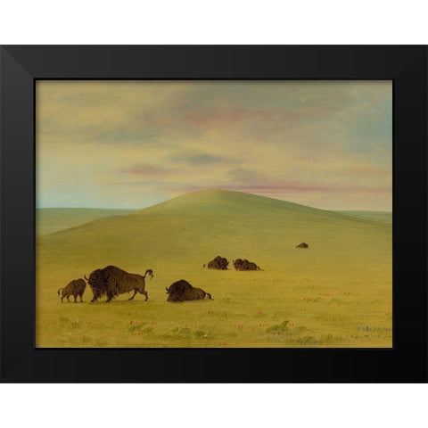 American Pasturage - Prairies of the Platte Black Modern Wood Framed Art Print by Catlin, George