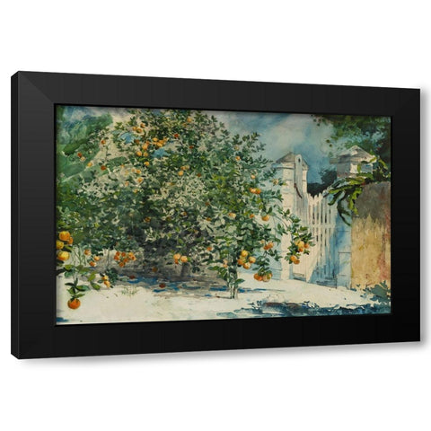 Orange trees and gate Black Modern Wood Framed Art Print by Homer, Winslow