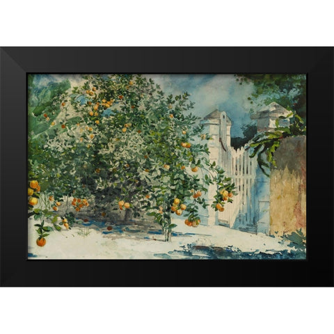 Orange trees and gate Black Modern Wood Framed Art Print by Homer, Winslow