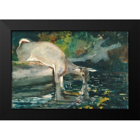 Deer Drinking Black Modern Wood Framed Art Print by Homer, Winslow