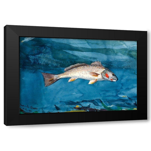 Channel Bass Black Modern Wood Framed Art Print with Double Matting by Homer, Winslow